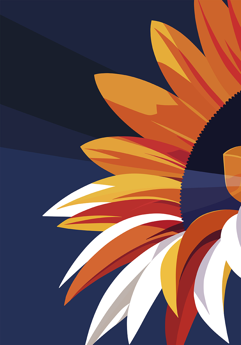 Radiant Bloom I, Cieli L