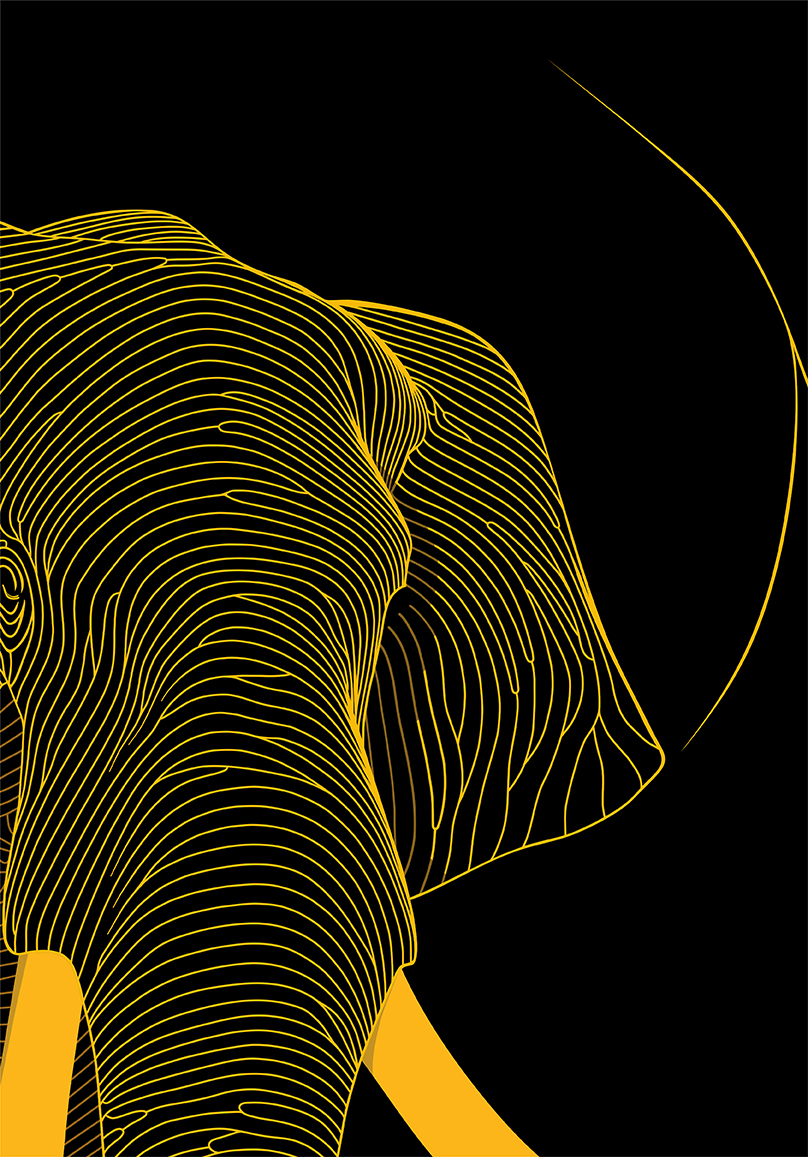 Golden Resonance, Aven K