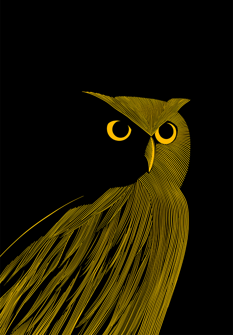 Golden Gaze, Aven K