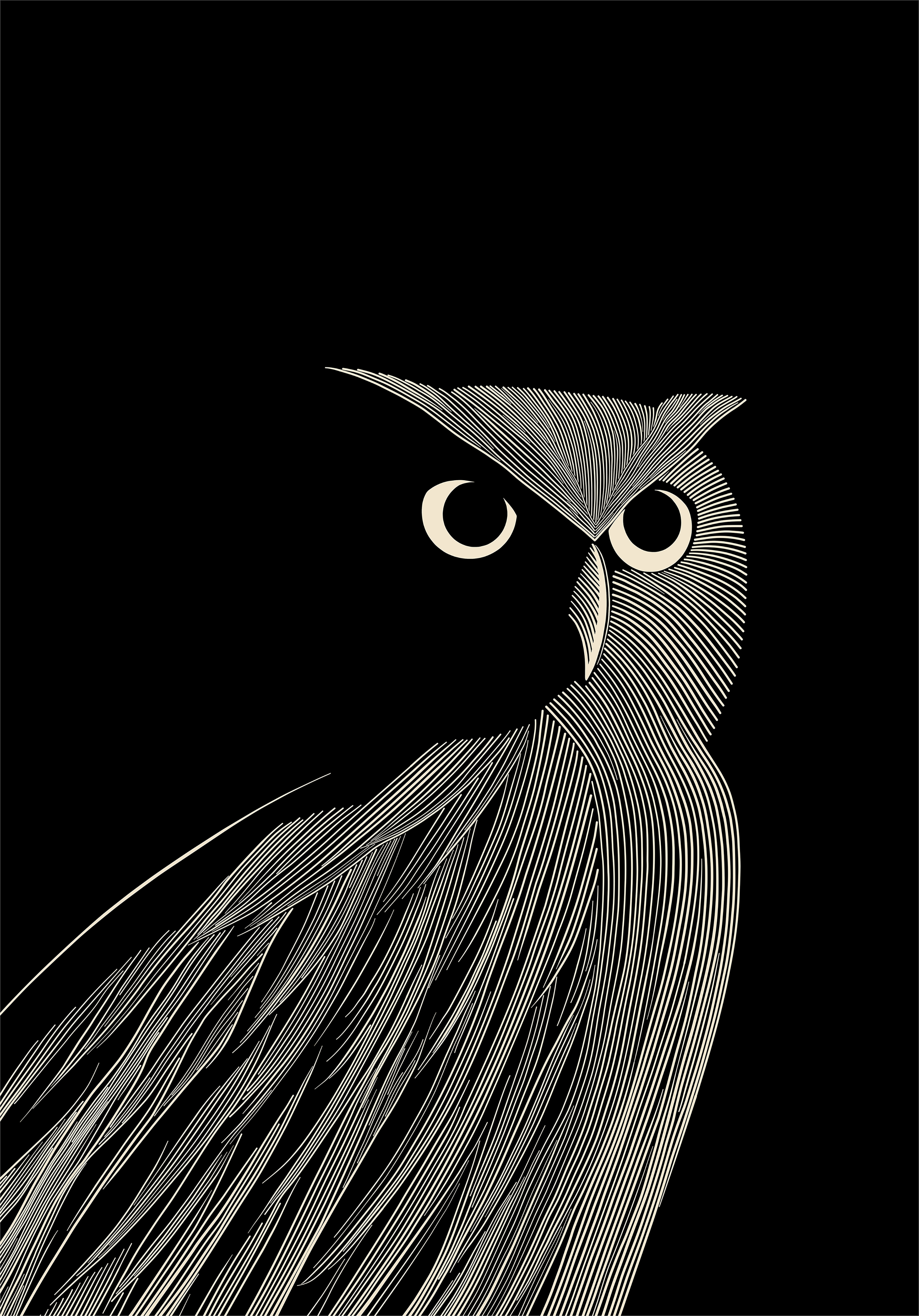 Serene Gaze, Aven K